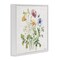 Stupell Industries Wild Botanical Bundle Framed Giclee, design by Nicole DeCamp